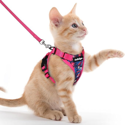 rabbitgoo Cat Harness and Leash by rabbitgoo