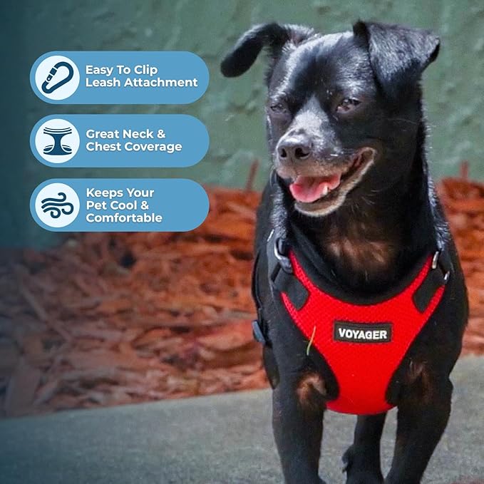 Voyager Step-in Pet Harness - Image 3