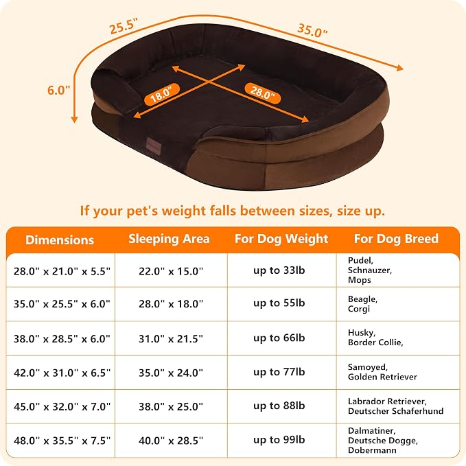 Dwanton Orthopedic Dog Bed for Medium Dogs - Image 4