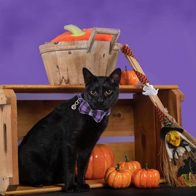 ADOGGYGO Halloween Cat Collars Breakaway - Image 4