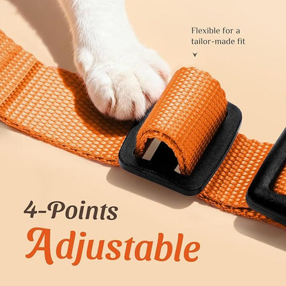 Dooradar Cat Harness and Leash Set, Escape Proof Safe Adjustable Kitten Vest - Image 3