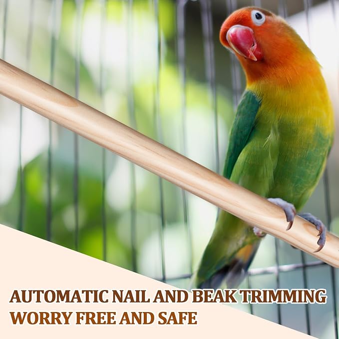 Sintuff 8 Pcs Bird Perches for Cage Accessories, Wooden Perch Rods Replacement - Image 5