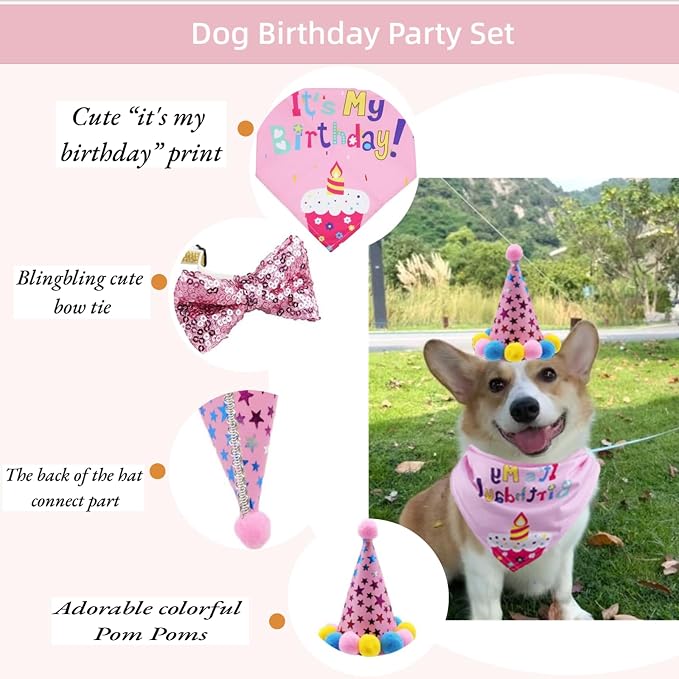 Pet Birthday Party Set with Hat and Bandana - Image 3