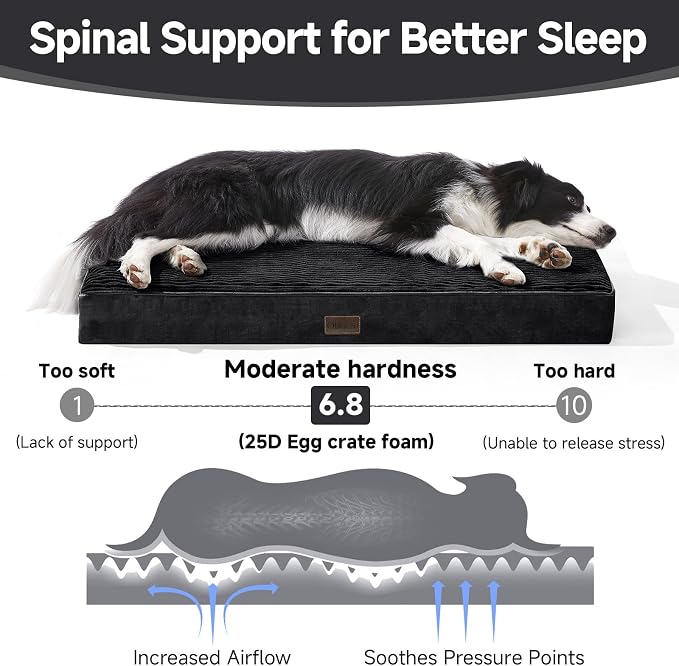 OhGeni Orthopedic Waterproof Top Surface & Machine Washable Dog Bed - Image 3