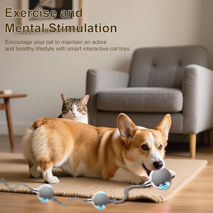 Interactive Cat Toy Ball, Smart Interactive Cat Toys, Smart Cat Toy - Image 7