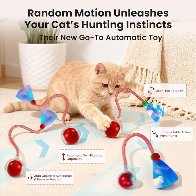 Rocfish Interactive Cat Toy for Indoor Cat, Smart Automatic Cat Chase Ball Toy - Image 4