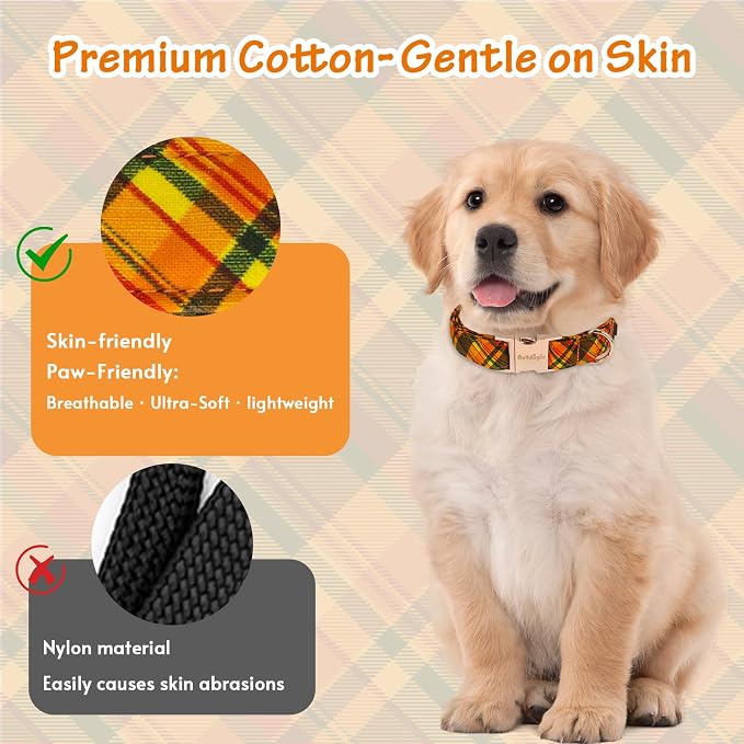 Cotton Fall Dog Collar, Halloween Dog Collars - Image 5