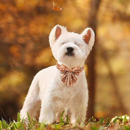 Fall Plaid Dog Collar and Bow Tie Set – Brown Orange Checkered Adjustable Collar - Image 5