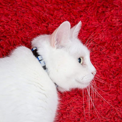 Reflective Cat Collar with Bell, Solid & Safe Collars - Image 6