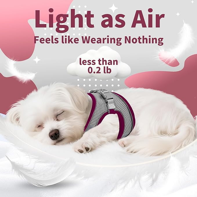 AIITLE Step in Dog Harness and Leash Set - Image 10