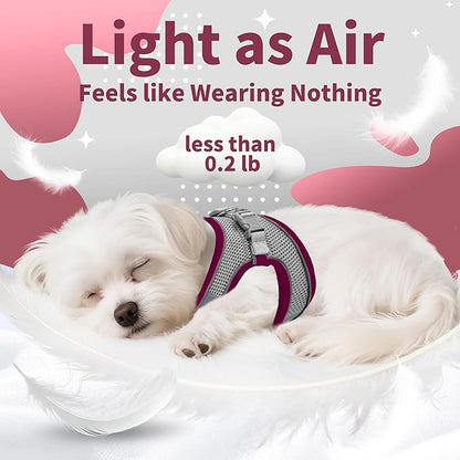 AIITLE Step in Dog Harness and Leash Set - Image 10