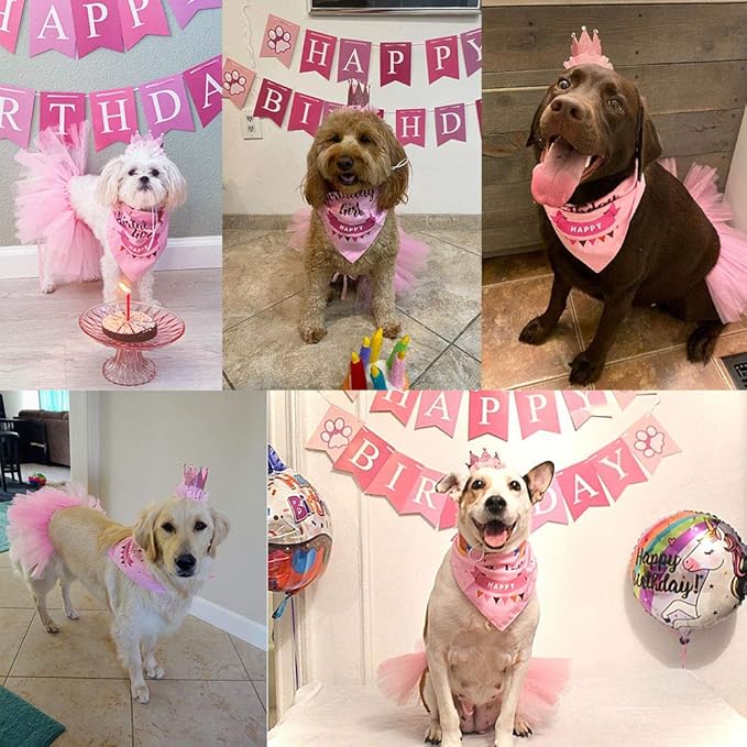 ADOGGYGO Dog Birthday Hat Bandana Girl - Image 2