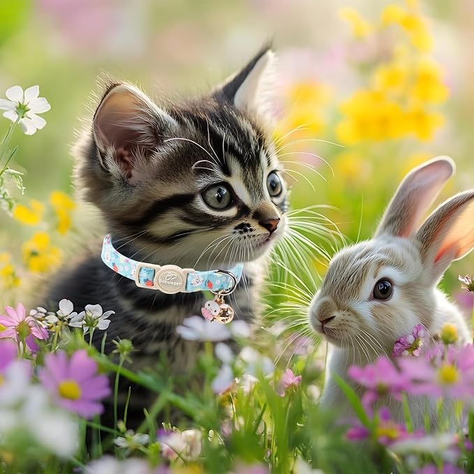2 Pack Easter Bunny Cat Collars - Image 4