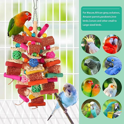 Kyouki Parrots Toys for Cockatiels, Parrotlets, Meyer's & Other Small/Medium - Image 3