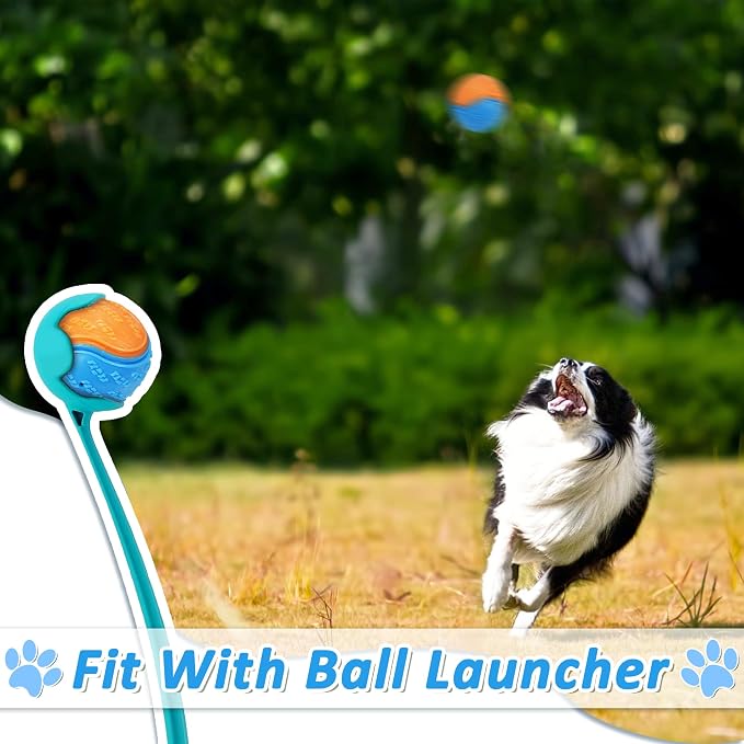 Dog Balls - Image 5