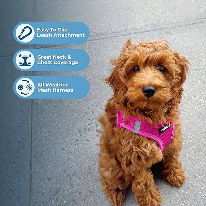 Best Pet Supplies Voyager Step-in Air All Weather Mesh Harness and Reflective - Image 5