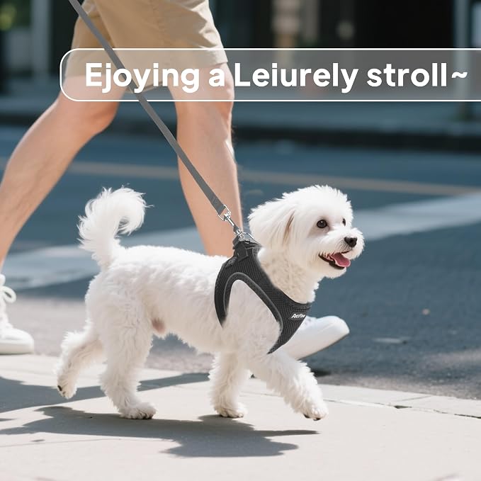 PetiFine Step in Small Dog Harness and Leash Set, Breathable All Weather Air - Image 7