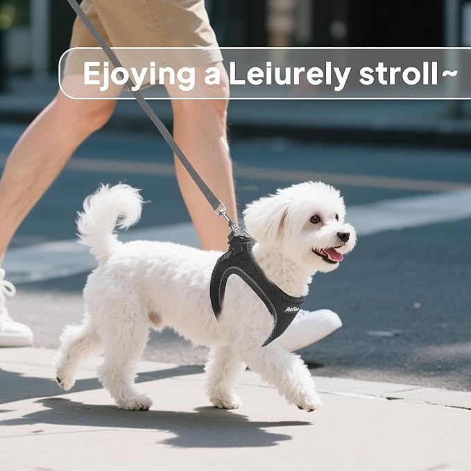 PetiFine Step in Small Dog Harness and Leash Set, Breathable All Weather Air - Image 7