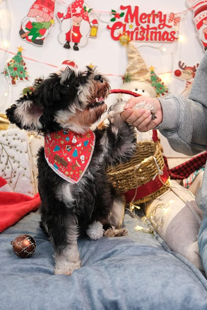 Lionet Paws Christmas Dog Bandana Washable Cotton Handkerchief Scarf Triangle - Image 2