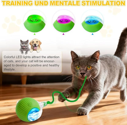 2-Pack Interactive Cat Toys Ball - Image 3