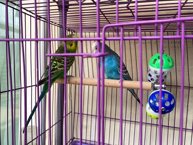 Bird Perch Toy with Rotating Balls, Parrot Stand, Spinning Perch Toy - Image 4