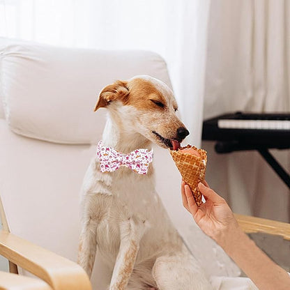 Lionheart glory Dog Collar Shark Print Dog Bow Collar Pink Dog Collar Male or - Image 4