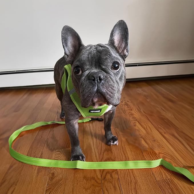 Best Pet Supplies Voyager Reflective Dog Leash or Collar - Image 5