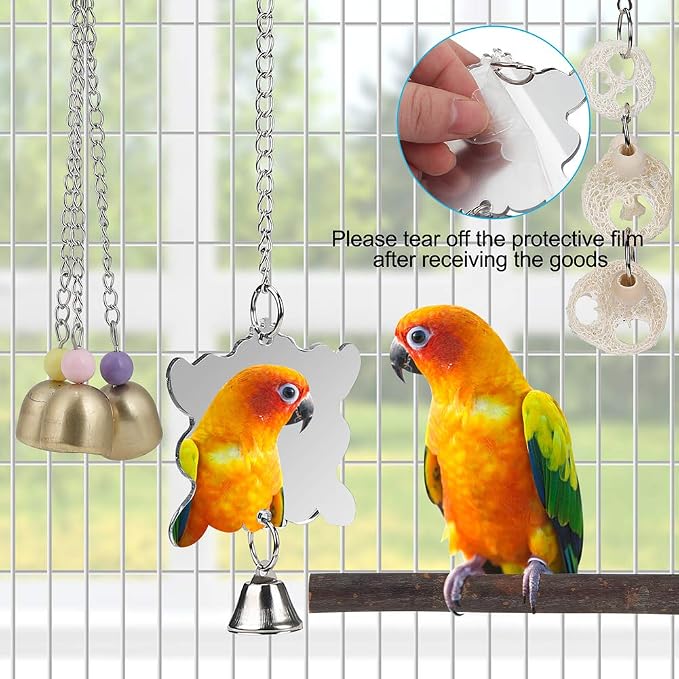 For Parakeet, Love Birds, Parrots - Image 5