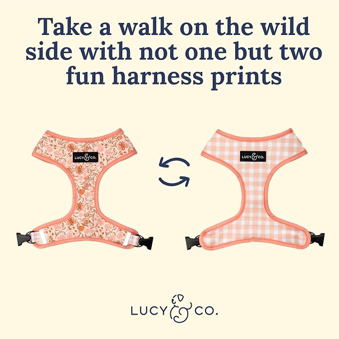 Lucy & Co. Cute Reversible Dog Harness Walking Halter - Image 4