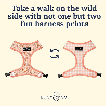 Lucy & Co. Cute Reversible Dog Harness Walking Halter - Image 4