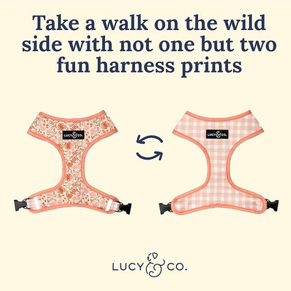 Lucy & Co. Cute Reversible Dog Harness Walking Halter - Image 4