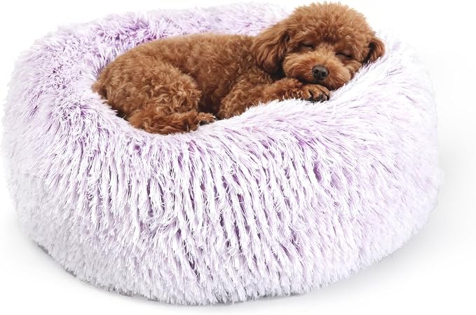 Calming Donut Dogs Beds for Small Dogs Washable, 19inch Fluffy Round Puppy Bed by nononfish