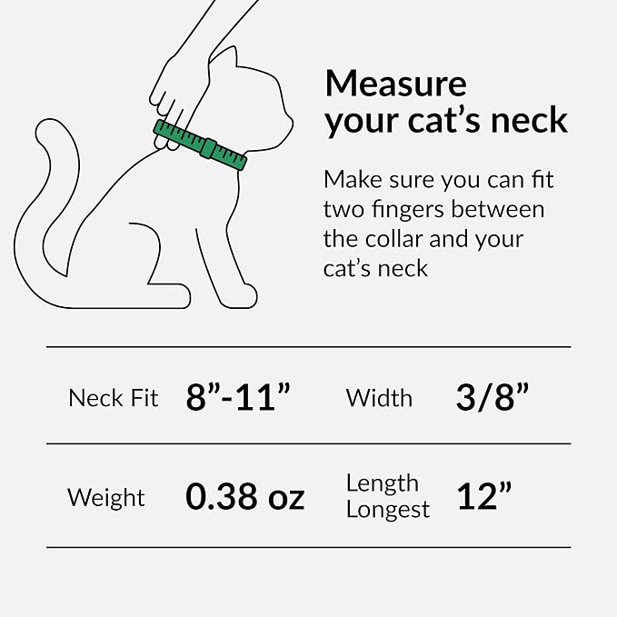 CollarDirect Leather Cat Collar, Kitten Collar - Image 2