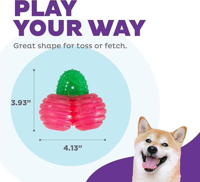 Outward Hound Gummiez Cherries Dog Toy & Treat Stuffer, 4″ x 4″ Cherry-Scent - Image 4