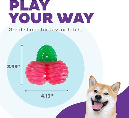 Outward Hound Gummiez Cherries Dog Toy & Treat Stuffer, 4″ x 4″ Cherry-Scent - Image 4