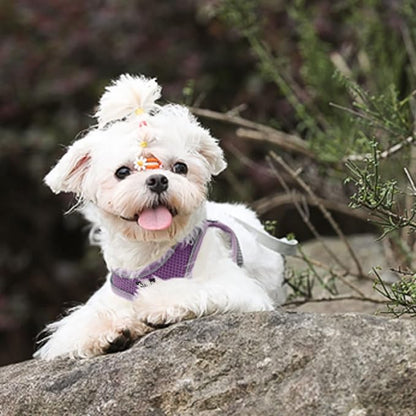 AIITLE Dog Harness, No-Pull Cat Harness - Image 8