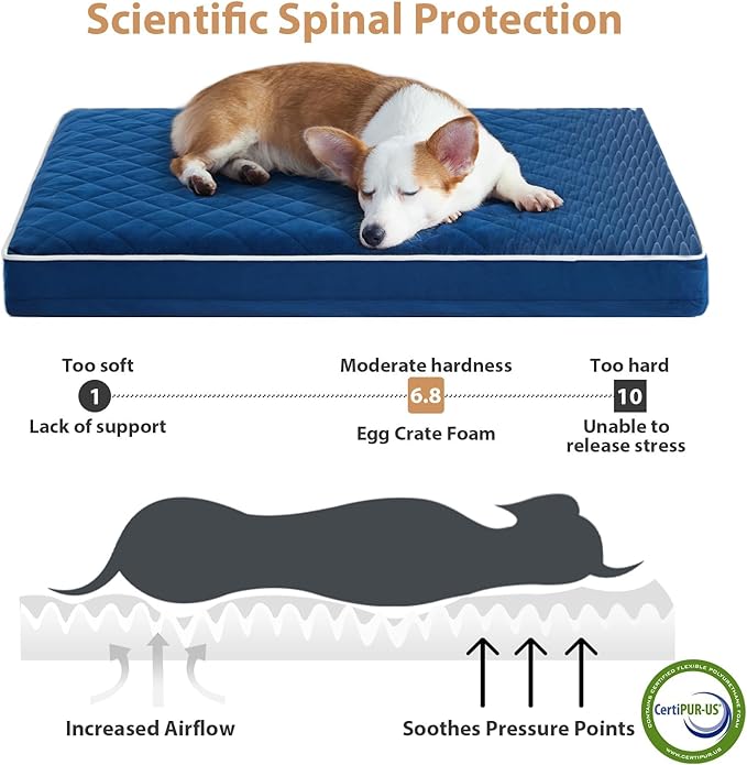 WNPETHOME Orthopedic XL Dog Bed - Image 3