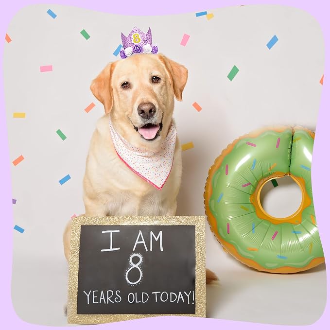 PET SHOW Purple Crown Dog Birthday Party Hat - Image 6
