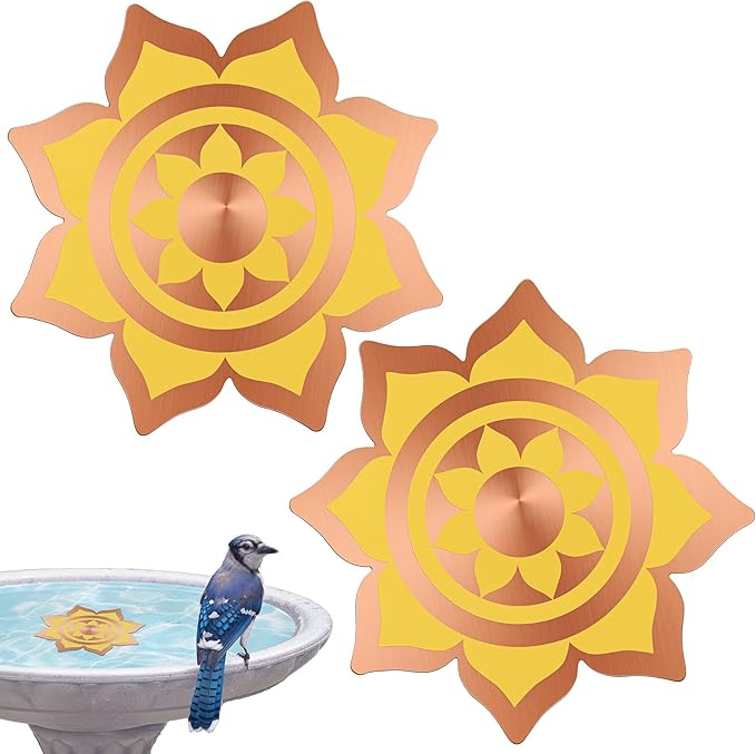 Saillong 2 Pack Bird Bath Copper Disk, Reinforced 99.99% Pure Copper Bird Bath by Saillong