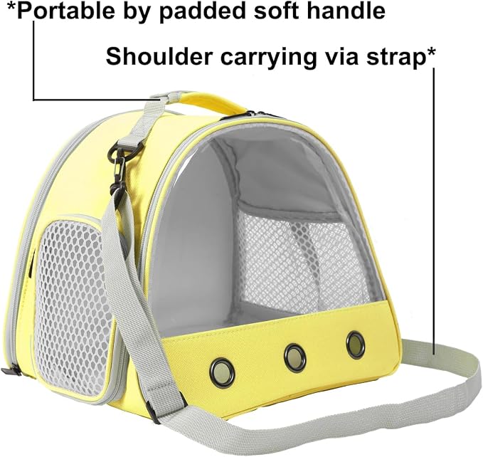 Bearded DragonTravel Cage, Lizards Carrier, Small Animal Travel Carrier - Image 5