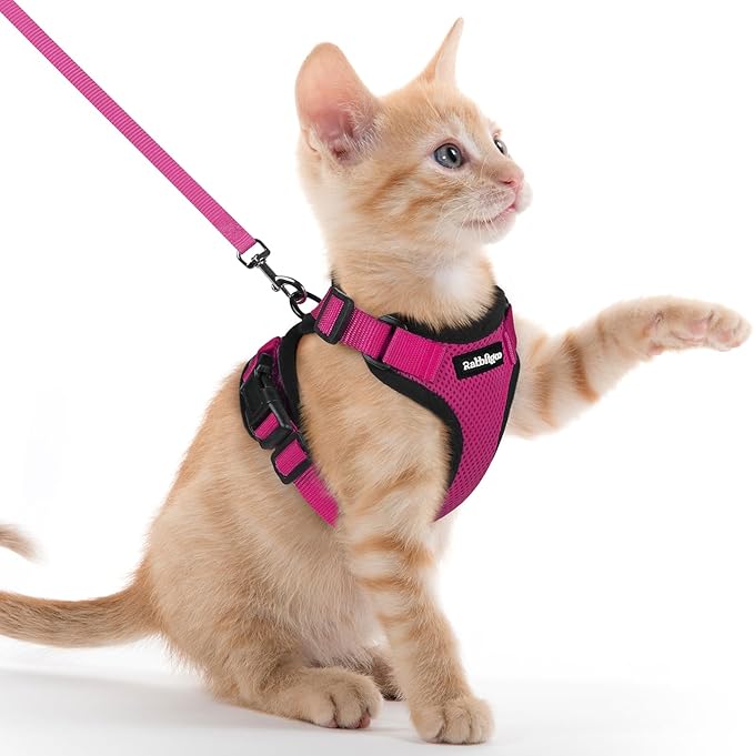rabbitgoo Cat Harness and Leash by rabbitgoo