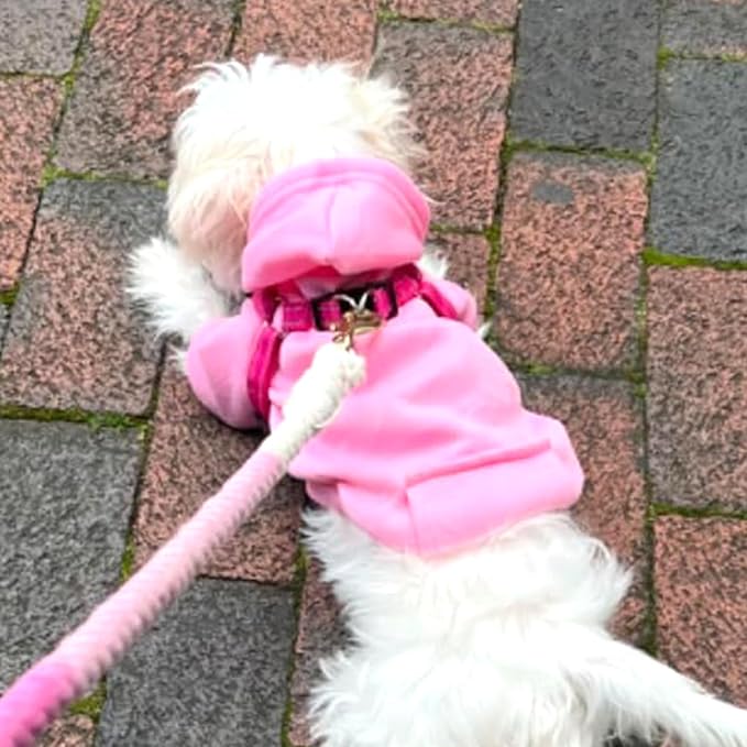 Jecikelon Winter Dog Hoodie Sweatshirts - Image 3