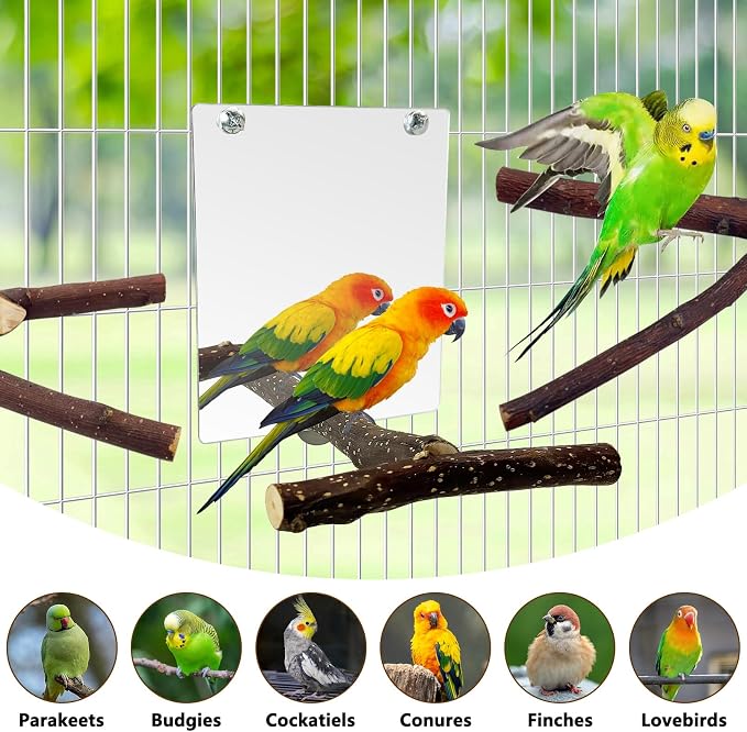 BNOSDM 5PCS Bird Mirror with Perches Stand Parrot Natural Wood Stick Perches - Image 8