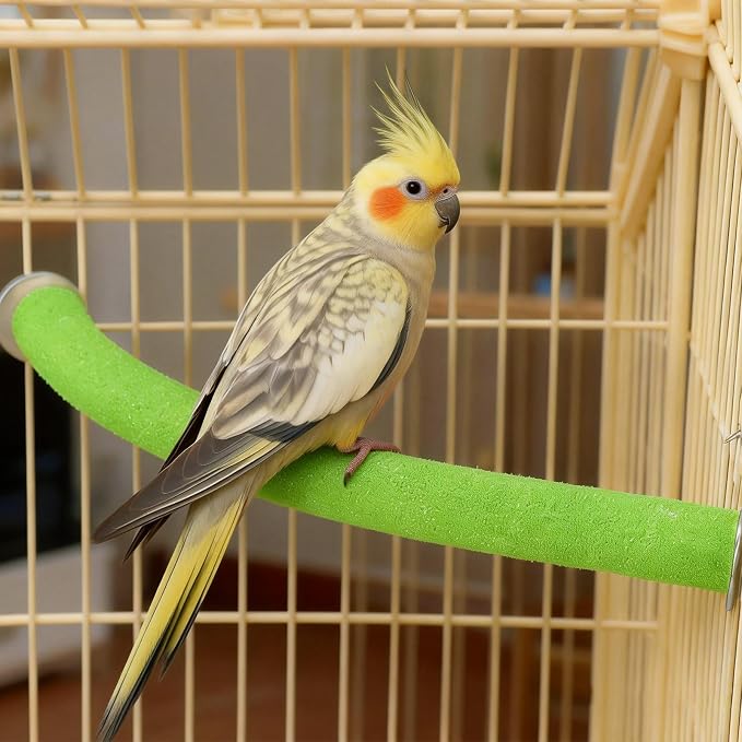 Rypet Parrot Perch Stand Toy Used - Image 3