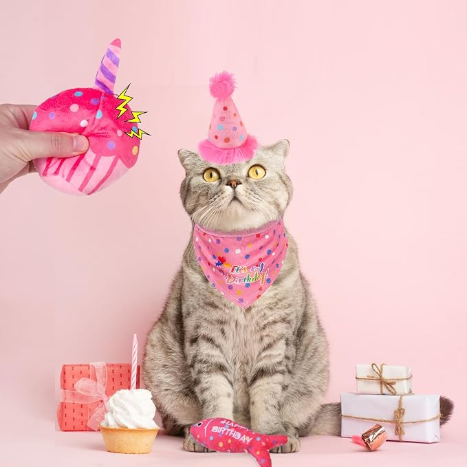 BINGPET Cat Birthday Catnip Toys - Image 7