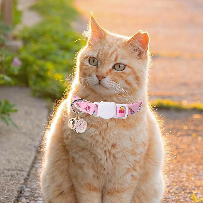 Unique Style Paws Pink Cat Collar, Breakaway Cat Collar - Image 5