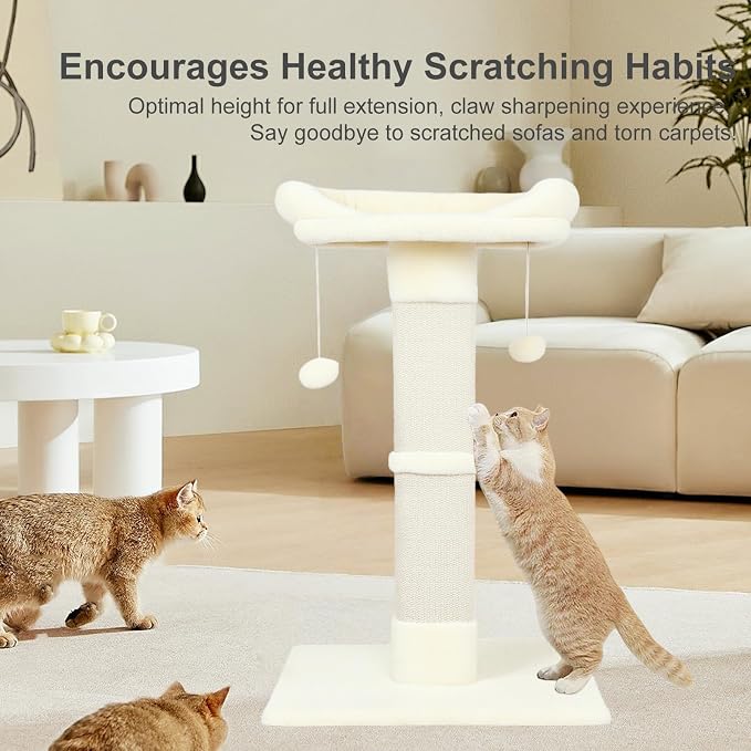 34" Cat Scratching Post for Indoor Cats, Sisal Cat Scratcher - Image 4