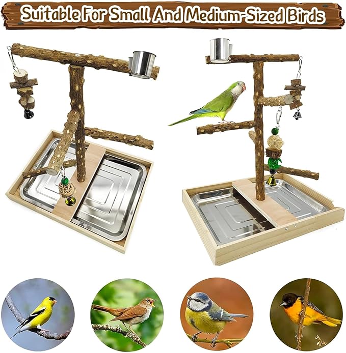 Tfwadmx Bird Perch Natural Wood Stand Toy Parrot Play Stand Platform Bird Cage - Image 5