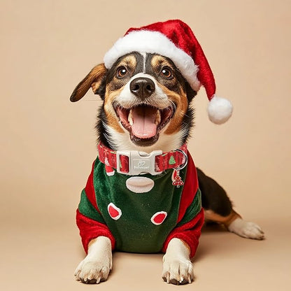 Christmas Dog Collar - Image 2