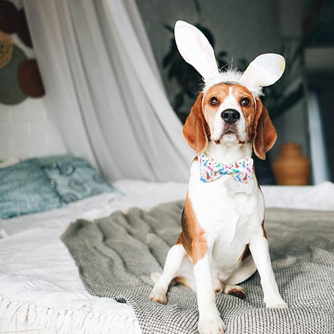 Lionheart glory Easter Dog Collar - Image 5